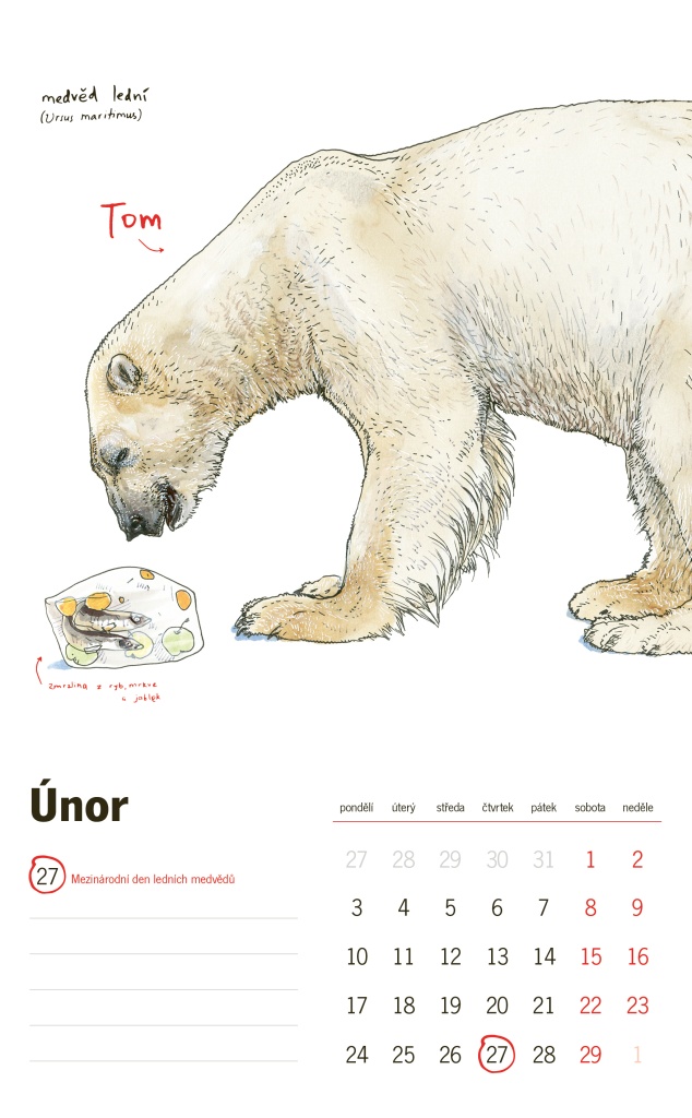 Únorová strana z nástěnného kalendáře Dny zvířat 2020. Ilustrace: Fox & Owl