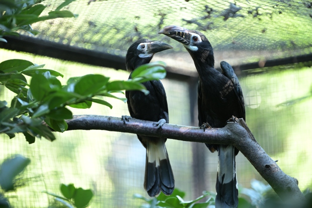 Foto: Petr Hamerník, Zoo Praha