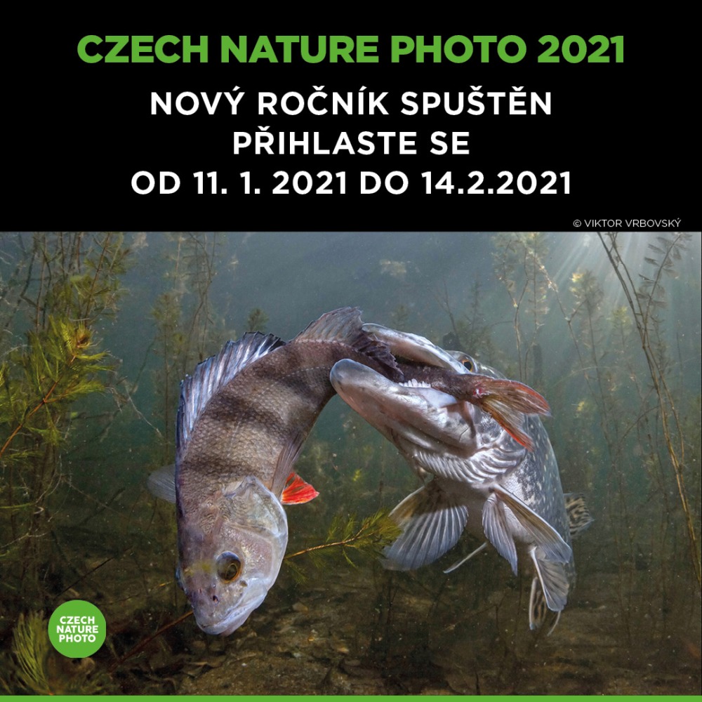 Kategorie „Zvířata ve svém prostředí“ je vyhlašovaná pod patronací Zoo Praha. Vizuál: Czech Nature Photo