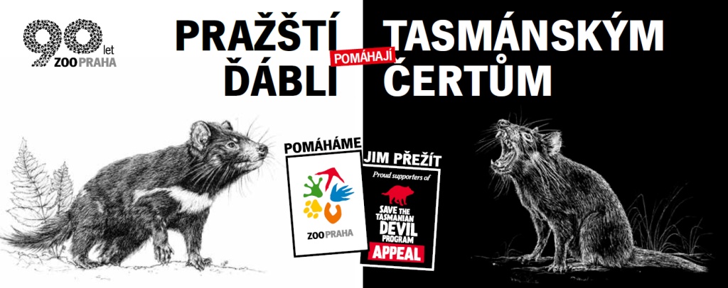Výtěžek z prodeje suvenýrů s motivem našich tasmánských čertů bude určen na podporu programu „Save the Tasmanian Devil Appeal“ a na vývoj vakcíny proti rakovině tváře, která ohrožuje ďábly medvědovité ve volné přírodě