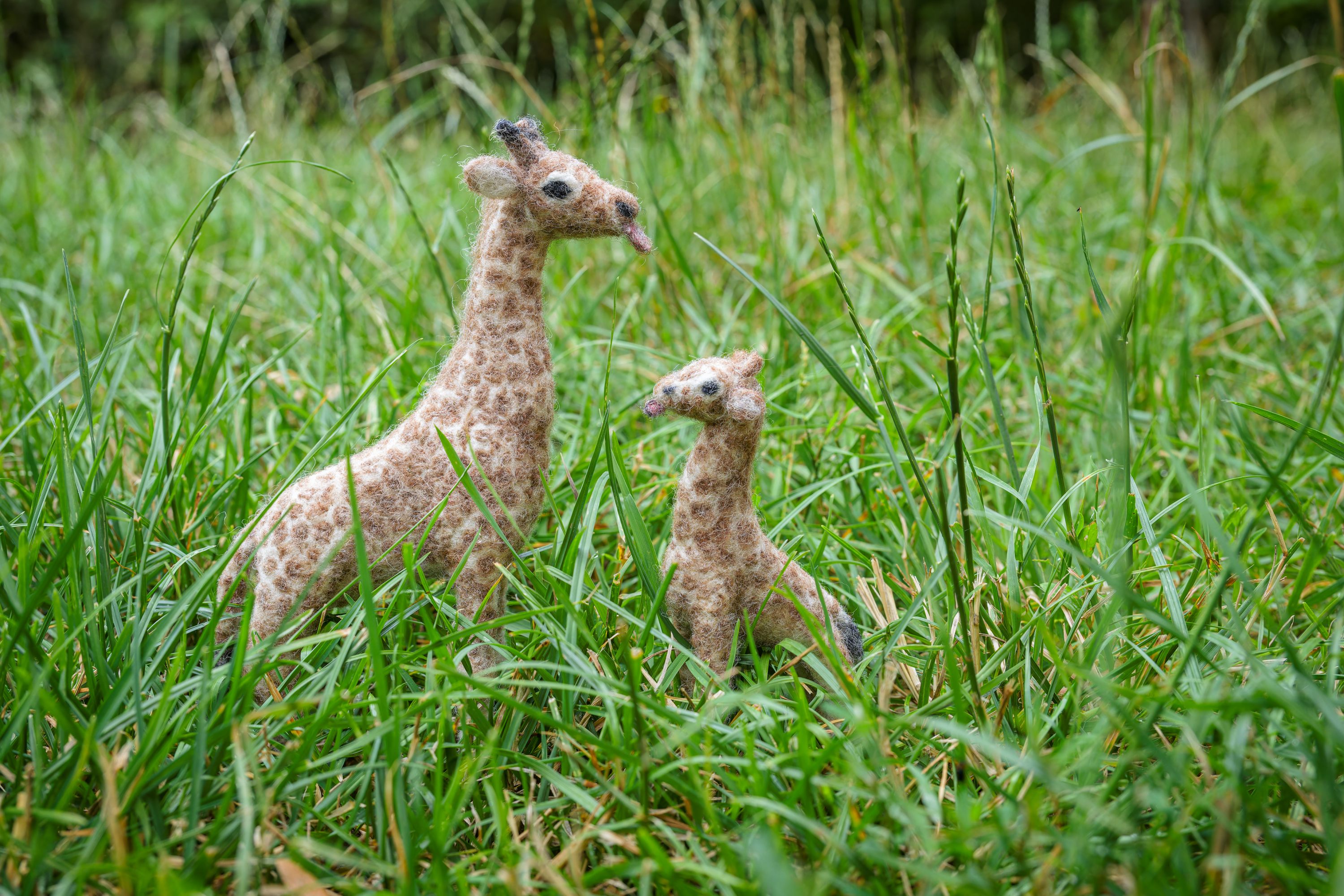 Ukázka práce lektorky Jitky Ferstové. Foto: Petr Hamerník, Zoo Praha