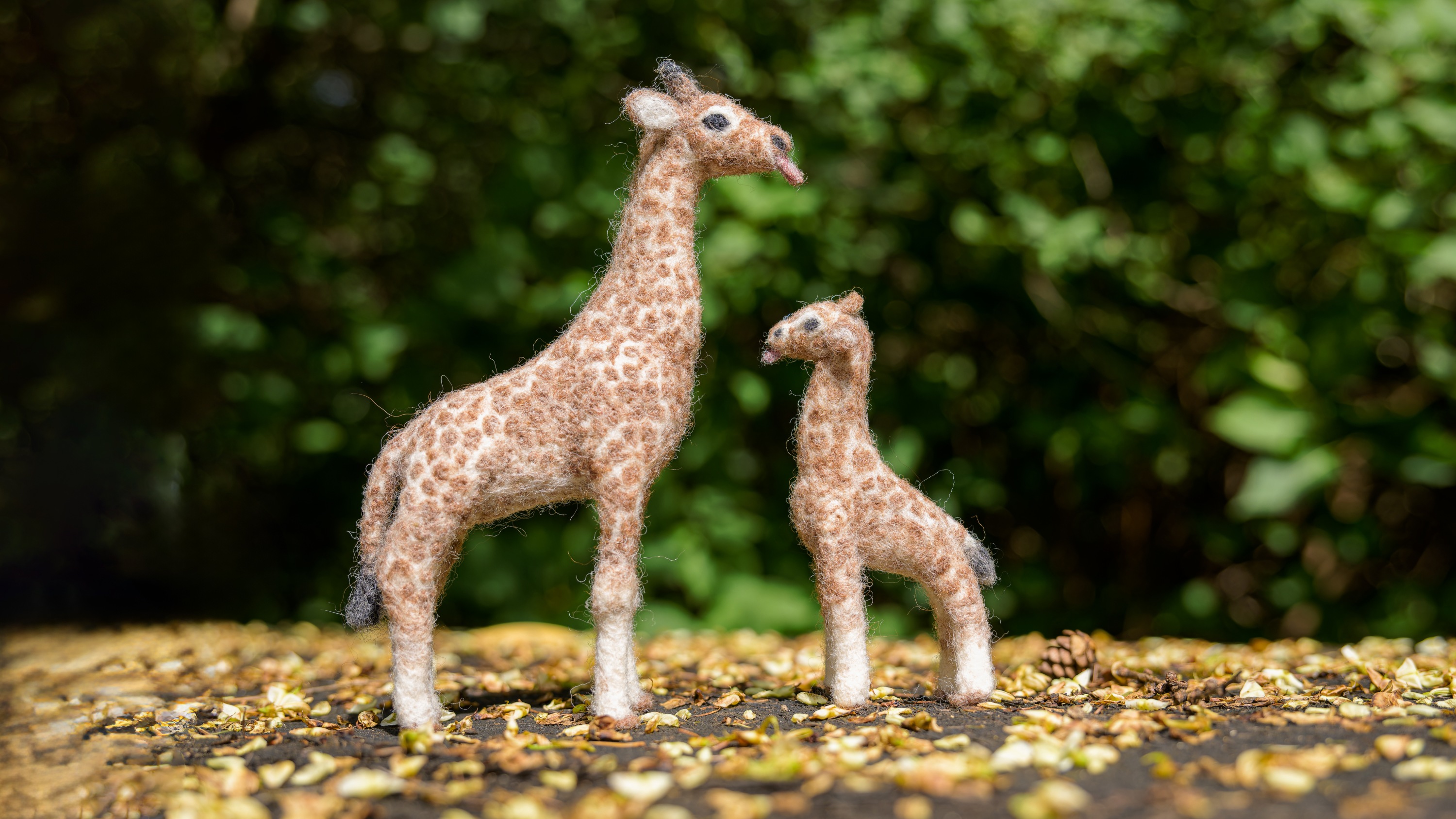 Ukázka práce lektorky Jitky Ferstové. Foto: Petr Hamerník, Zoo Praha