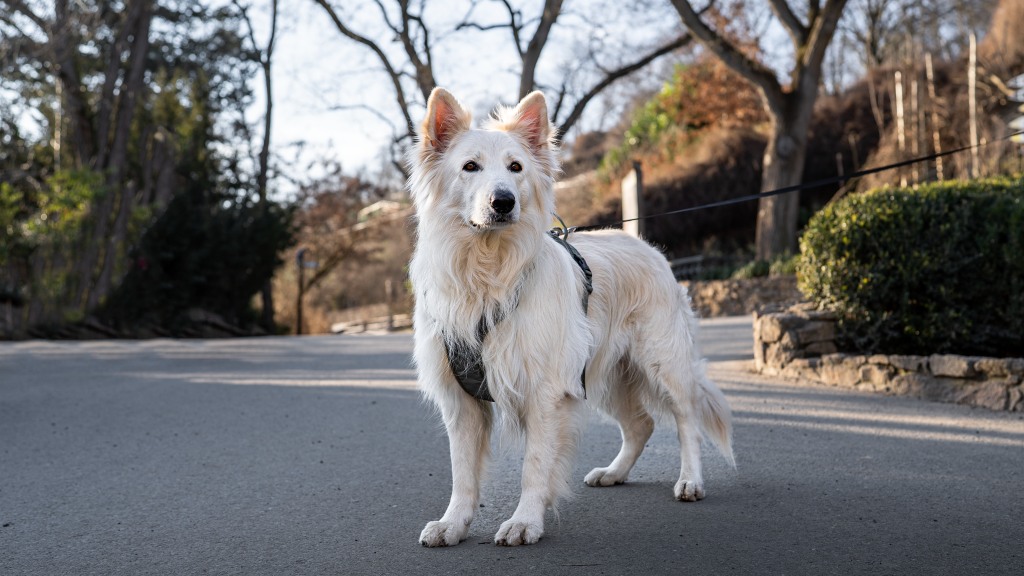 Foto: Oliver Le Que, Zoo Praha