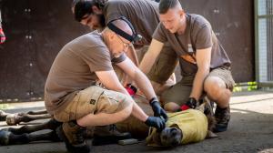 Veterinář Roman Vodička uspává koně před naložením do transportní bedny. Foto: Oliver Le Que, Zoo Praha