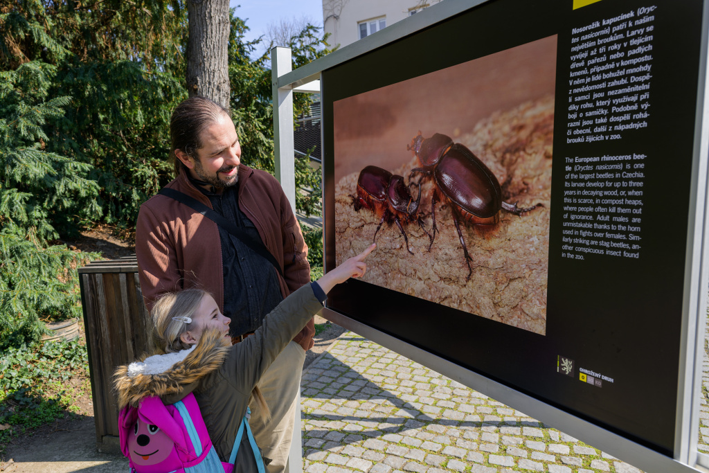 Fotografická výstava Příroda v zoo bude k vidění v příštích měsících zdarma u Vzdělávacího centra v Zoo Praha. Foto: Petr Hamerník, Zoo Praha