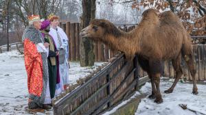 Foto: Petr Hamerník, Zoo Praha