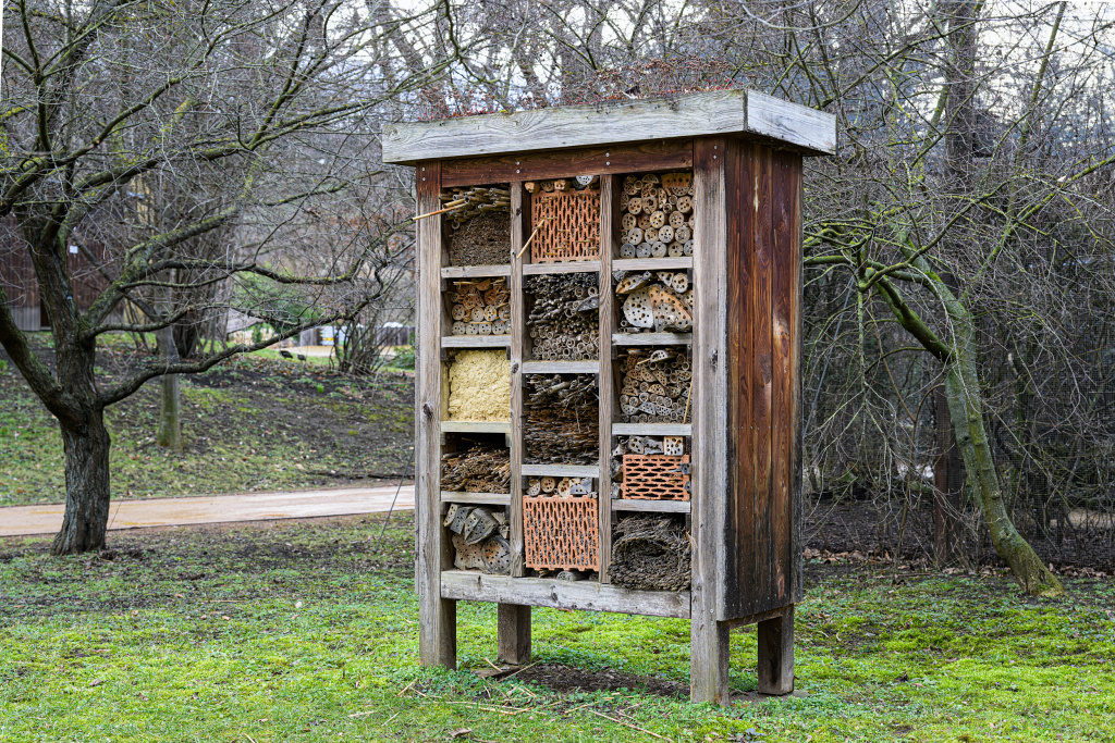 Hmyzí hotel v Zoo Praha. Foto: Petr Hamerník, Zoo Praha