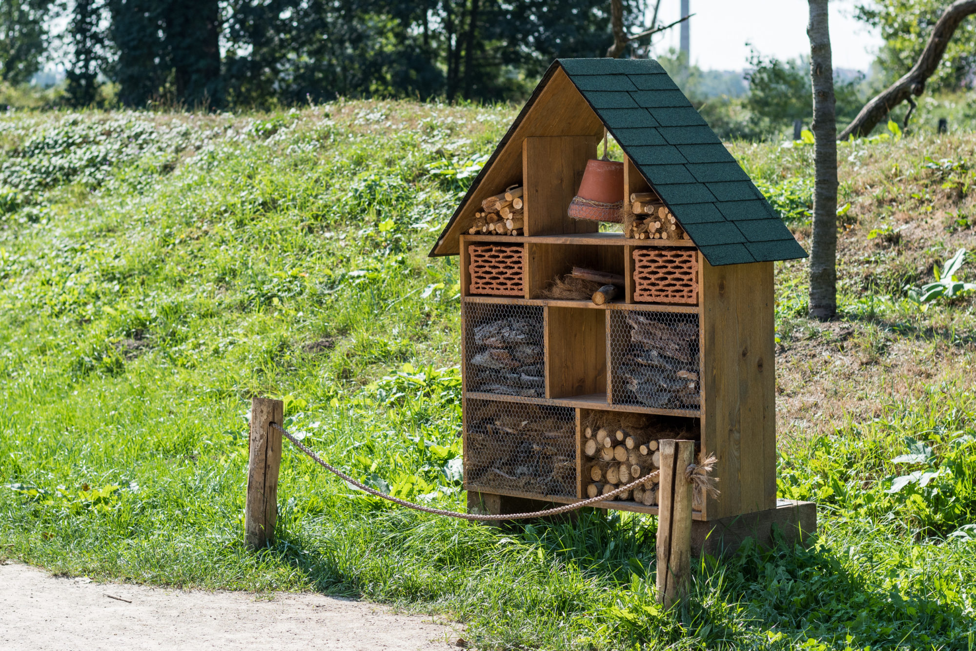 Hmyzí domeček v Zoo Praha. Foto: Petr Hamerník