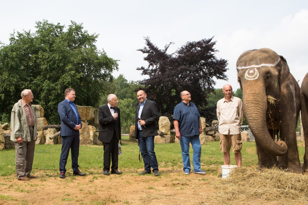 Profesor Koutecký v červnu roku 2016 v Údolí slonů na oslavě 50. výročí příchodu slonice Gulab do Zoo Praha. Foto: Václav Šilha, Zoo Praha