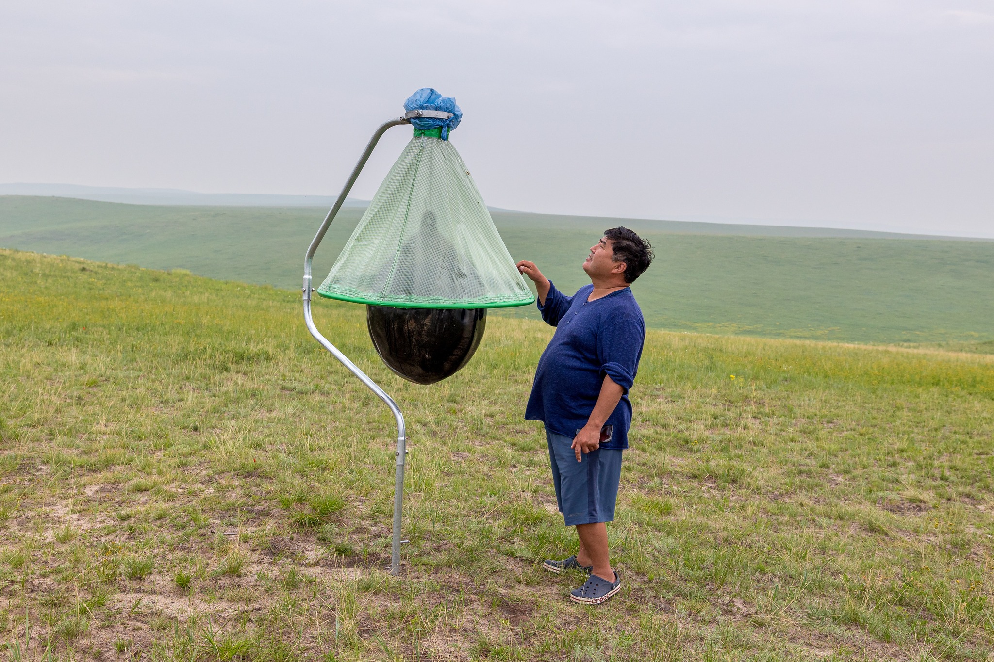 Professor Battur at the horse-flies trap. Photo by Miroslav Bobek