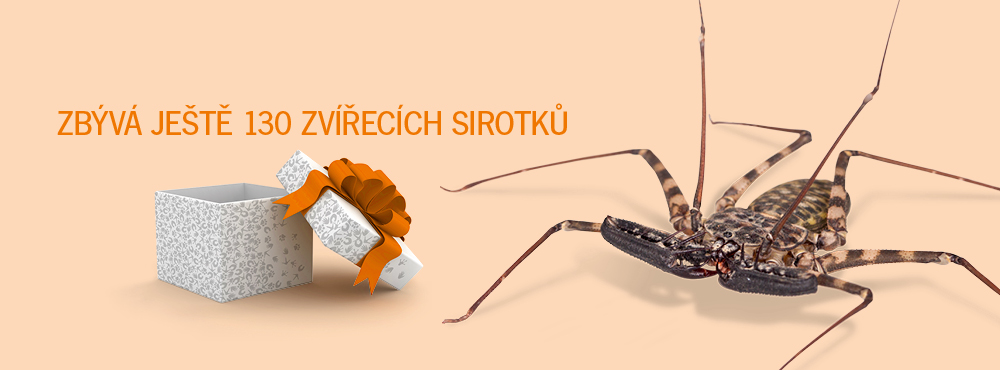 Adoptujte mě a možná poletíte do Keni!