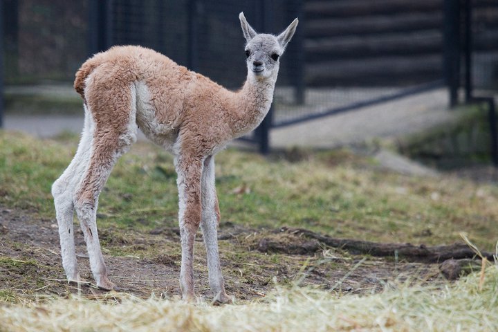 Foto: Tomáš Adamec