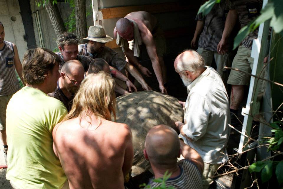 Přesun vůbec nebyl lehký, a to doslova. Nejtěžší želva váží kolem 240 kilo! Foto (c) Tomáš Adamec, Zoo Praha