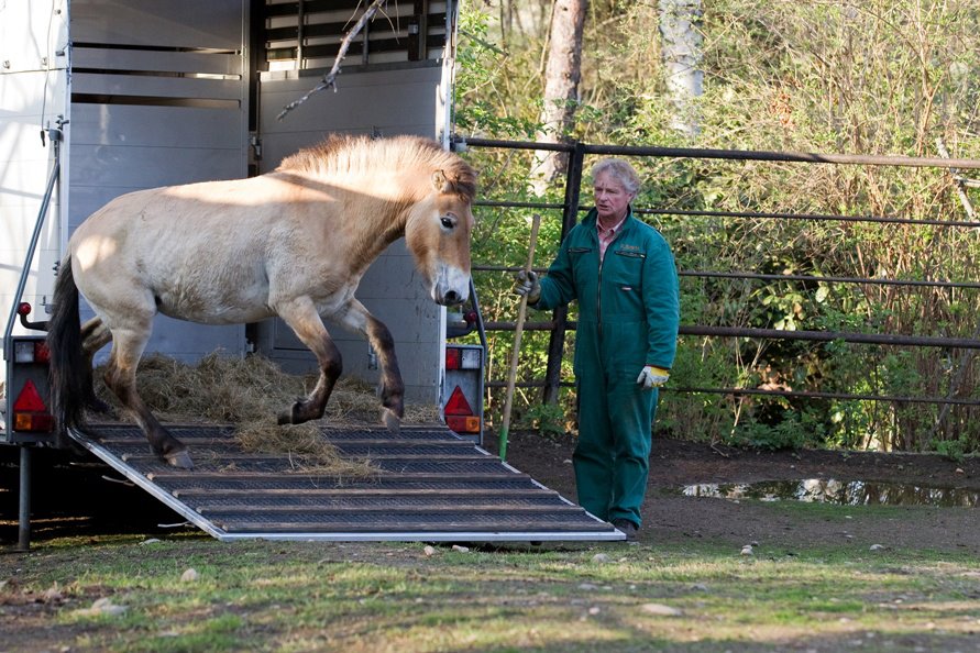 Foto (c) Tomáš Adamec, Zoo Praha