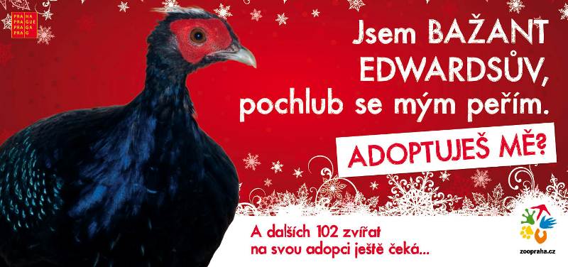 Billboard zařazený na 2. - 3. místo v hodnocení Strategie za prosinec 2012   