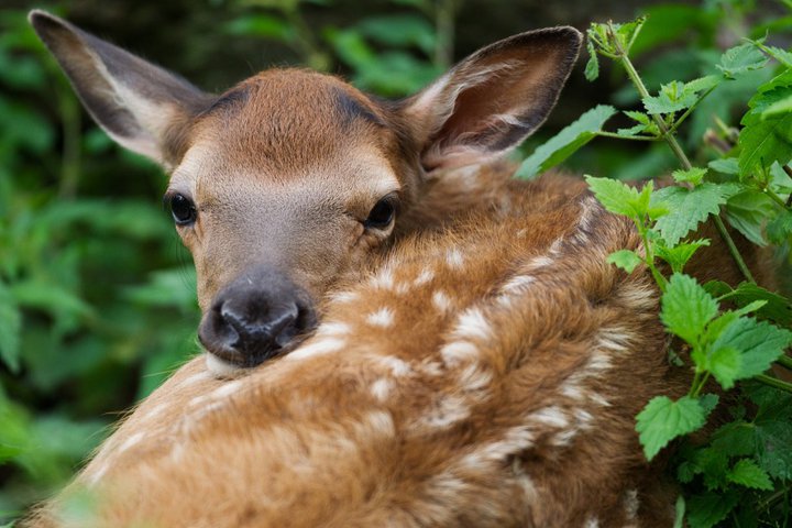 Foto: Tomáš Adamec