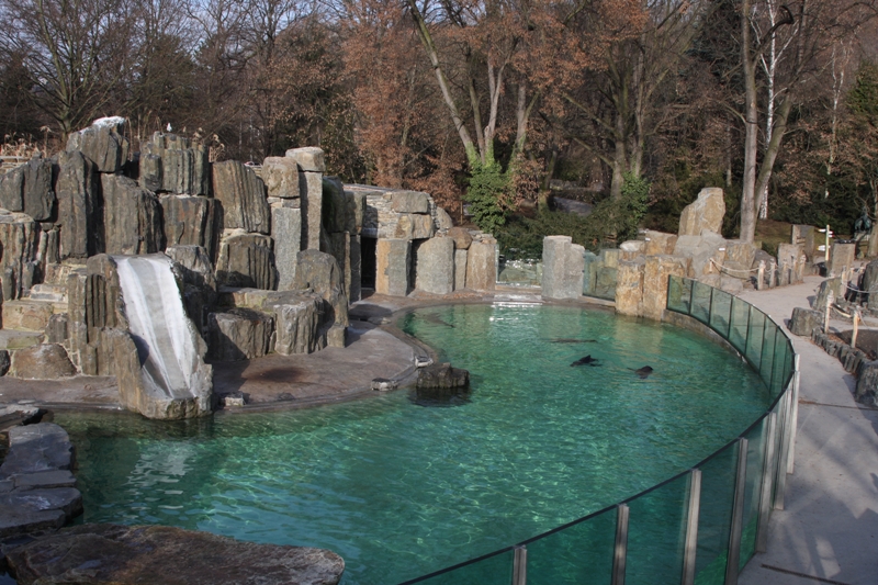 Bazén lachtanů, foto (c) Eliška Jílková, Zoo Praha