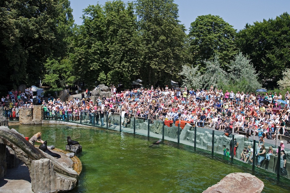 Melounovo tipování přilákalo davy návštěvníků! Foto: Tomáš Adamec, Zoo Praha