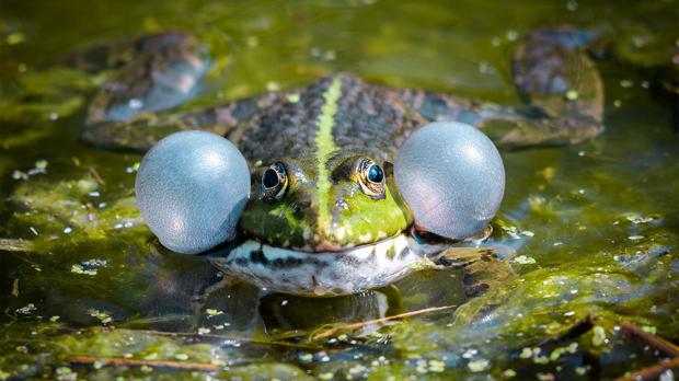 Foto: Petr Hamerník, Zoo Praha