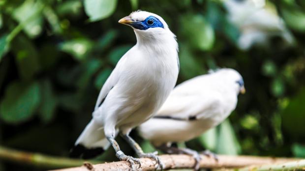 Foto: Tomáš Adamec, Zoo Praha