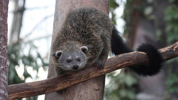 Foto: Jiří Trojánek, Zoo Praha