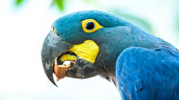 Foto: Petr Hamerník, Zoo Praha