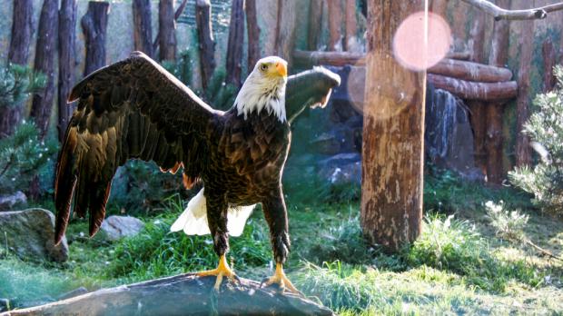 Foto: Archiv Zoo Praha