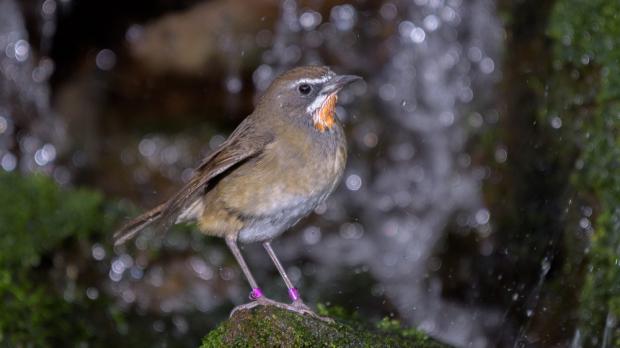 Foto: Petr Hamerník, Zoo Praha