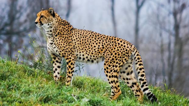 Foto: Tereza Mrhálková, Zoo Praha