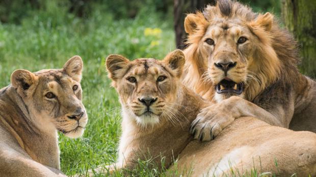 Foto: Petr Hamerník, Zoo Praha