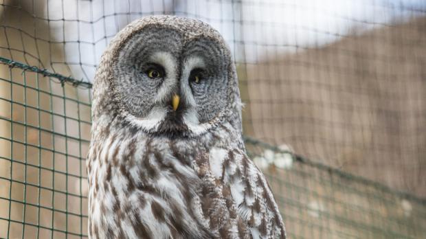 Foto: Václav Šilha, Zoo Praha