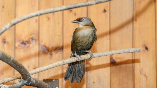 Foto: Petr Hamerník, Zoo Praha