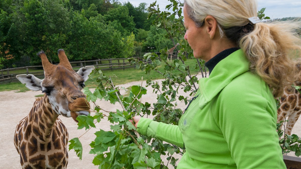 Photo: Petr Hamerník, Prague Zoo