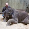 Jako první dnes přišel Maxovi popřát ředitel zoo Miroslav Bobek, foto: Václav Šilha, Zoo Praha
