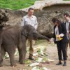 Max oslavil své první narozeniny, foto: Václav Šilha, Zoo Praha