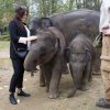 Max oslavil své první narozeniny, foto: Václav Šilha, Zoo Praha