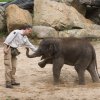 Max oslavil své první narozeniny, foto: Václav Šilha, Zoo Praha