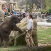 Max oslavil své první narozeniny, foto: Václav Šilha, Zoo Praha