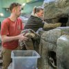 Mláďata zůstávají zatím v hnízdě. Chovatelé je vyndávají jen kvůli prohlídce a vážení. Foto: Petr Hamerník, Zoo Praha.