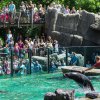 V roce 2016 prošlo branami Zoo Praha 1 448 353 návštěvníků! Foto Petr Hamerník, 