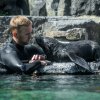 V Zoo Praha proběhne ve čtvrtek Výroční slavnost, její součástí budou také křtiny mláděte lachtana jihoafrického. Foto: Petr Hamerník, Zoo Praha.