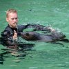 Návštěvníci se dnes mohli v Zoo Praha rozloučit s dvouletým lachtanem Mamutem, který za pár dní zamíří do nového domova v Německu. Foto: Petr Hamerník, Zoo Praha