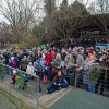 V sobotu proběhlo tradiční setkání přátel, sponzorů a partnerů Zoo Praha a obyvatel městské části Praha-Troja; jako poděkování všem, kdo přispěli na provoz a rozvoj pražské zoo i její projekty. Foto: Tereza Mrhálková, Zoo Praha. 