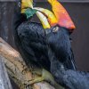 Foto: Petr Hamerník, Zoo Praha