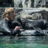 Dnes Zoo Praha prvně návštěvníkům představila malého lachtana, který se narodil na konci května a bude od teď k vidění v určeném čase v expozici. Foto: Petr Hamerník, Zoo Praha