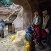 Foto: Tereza Mrhálková, Zoo Praha. 