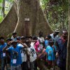 The Wandering Bus participants were given the opportunity to get to know forest tree species. Photo: Khalil Baalbaki, Prague Zoo.