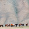 39 unikátních fotografií, které zachycují zajímavosti a krásy západního Mongolska, půjde do dražby. Zde fotografie Závodní koně od Petra Joska.