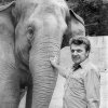 Prof. Zdeněk Veselovský se slonicí Gulab v sedmdesátých letech. Foto archiv Zoo Praha.