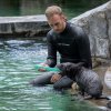 Mládě lachtana je velmi hravé a návštěvníci Zoo Praha jej budou moci vidět v expozici v určený čas denně mimo pátku. Foto: Petr Hamerník, Zoo Praha